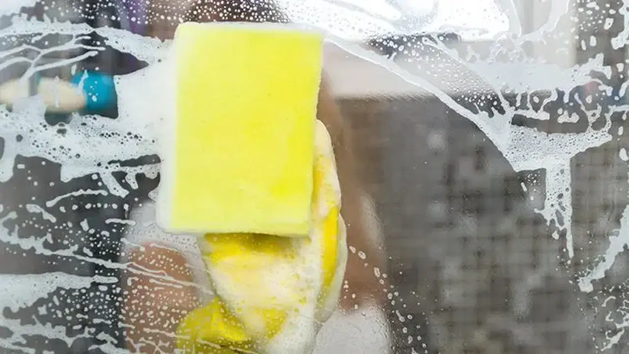 Sünger Kokusunu Anında Gideren Yöntem! İşte Mis Gibi Temizlik