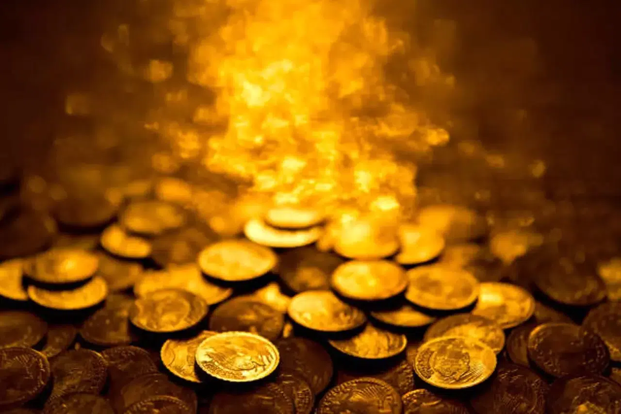 Bahçeden servet çıktı