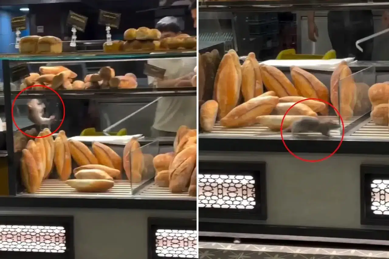 Fırın sahibini 10 bin dolarlık teklif kurtaramadı