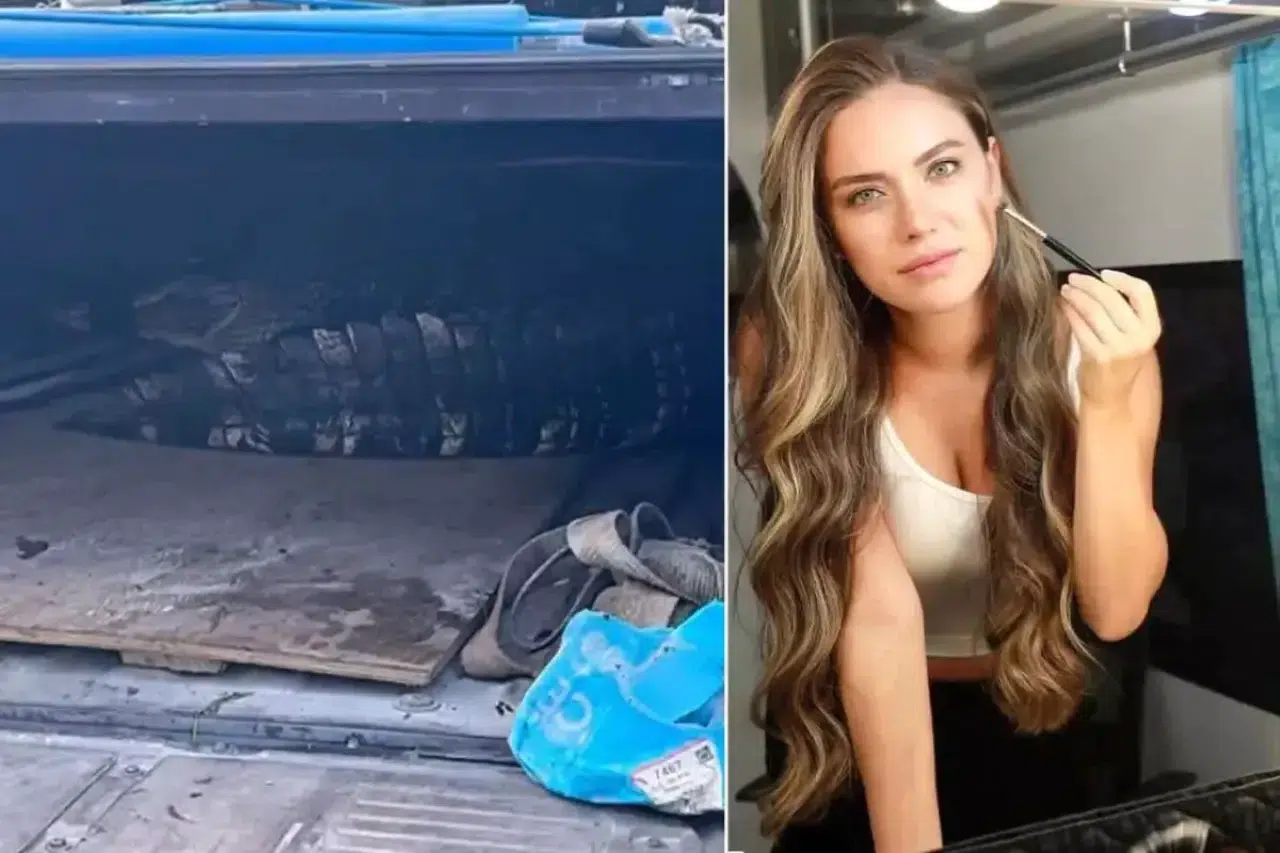 Ünlü oyuncunun oturduğu sitede timsah yakalandı