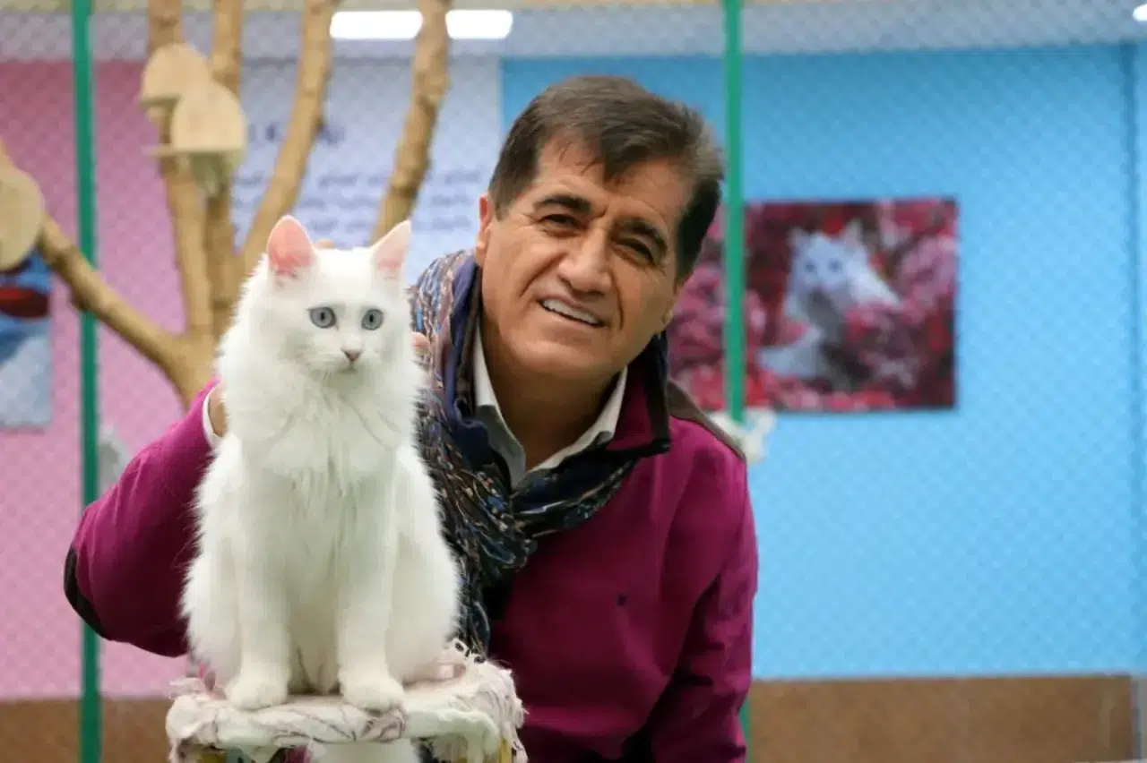 Ünlü sanatçı nesli tükenmekte olan kedi ile düet yaptı