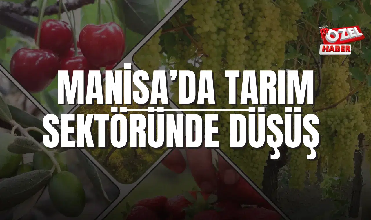 MANİSA’DA TARIM SEKTÖRÜNDE DÜŞÜŞ