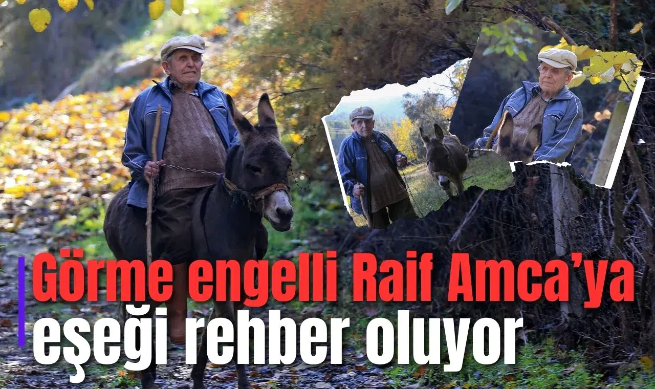 Görme engelli Raif Amca’ya eşeği rehber oluyor