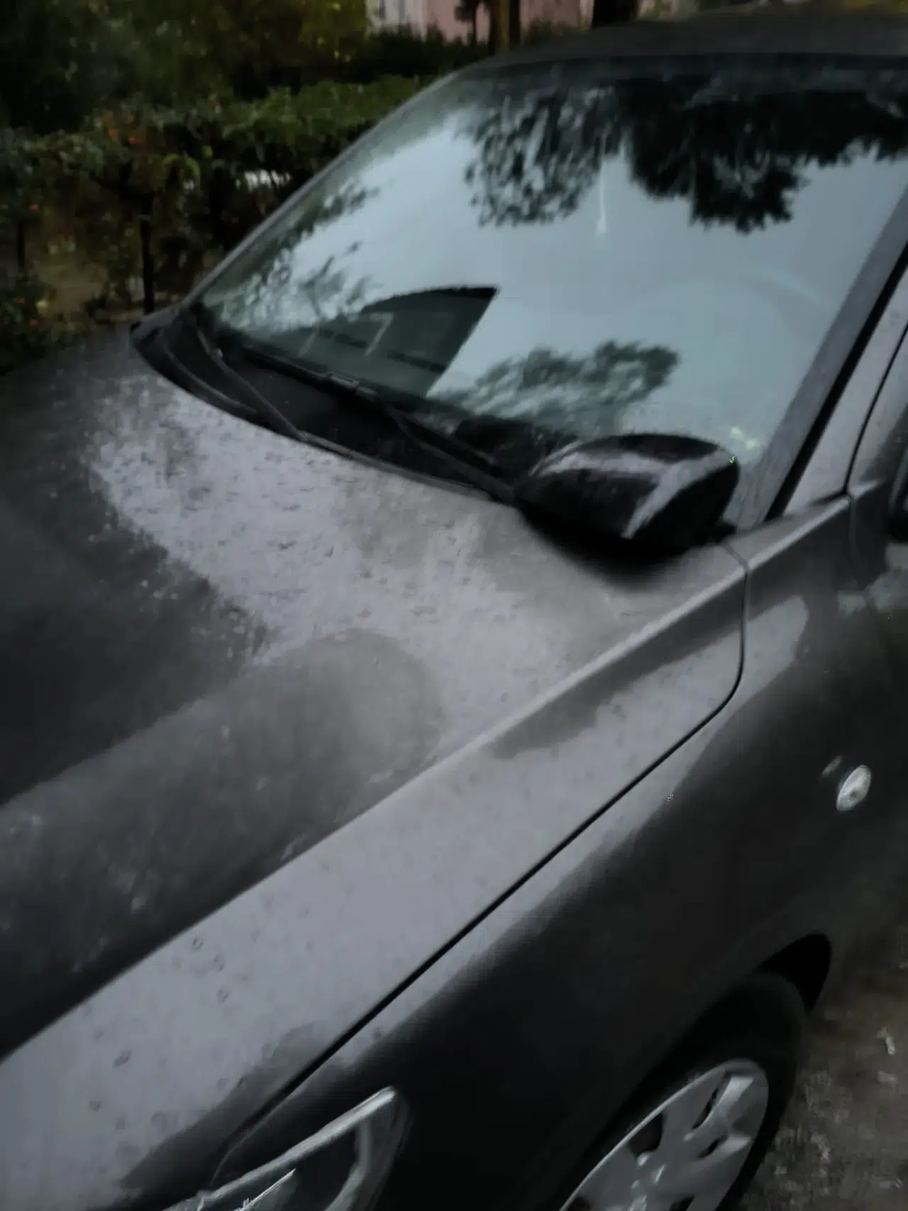 Avukat mahallenin kabusu oldu!