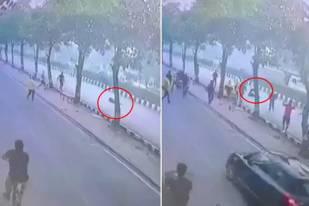 Ünlü fenomenin feci sonu