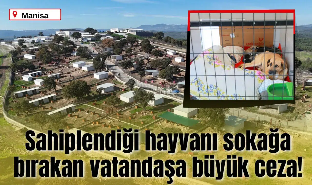Sahiplendiği hayvanı sokağa bırakan vatandaşa büyük ceza!