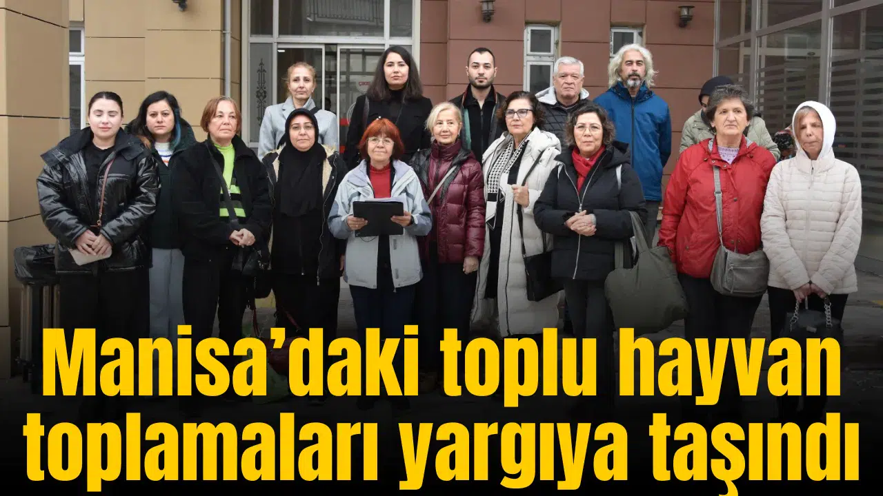 Manisa’daki toplu hayvan toplamaları yargıya taşındı