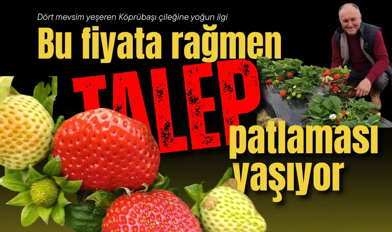 Kış mevsiminde bu meyveye yoğun ilgi: Talep patlaması yaşıyor