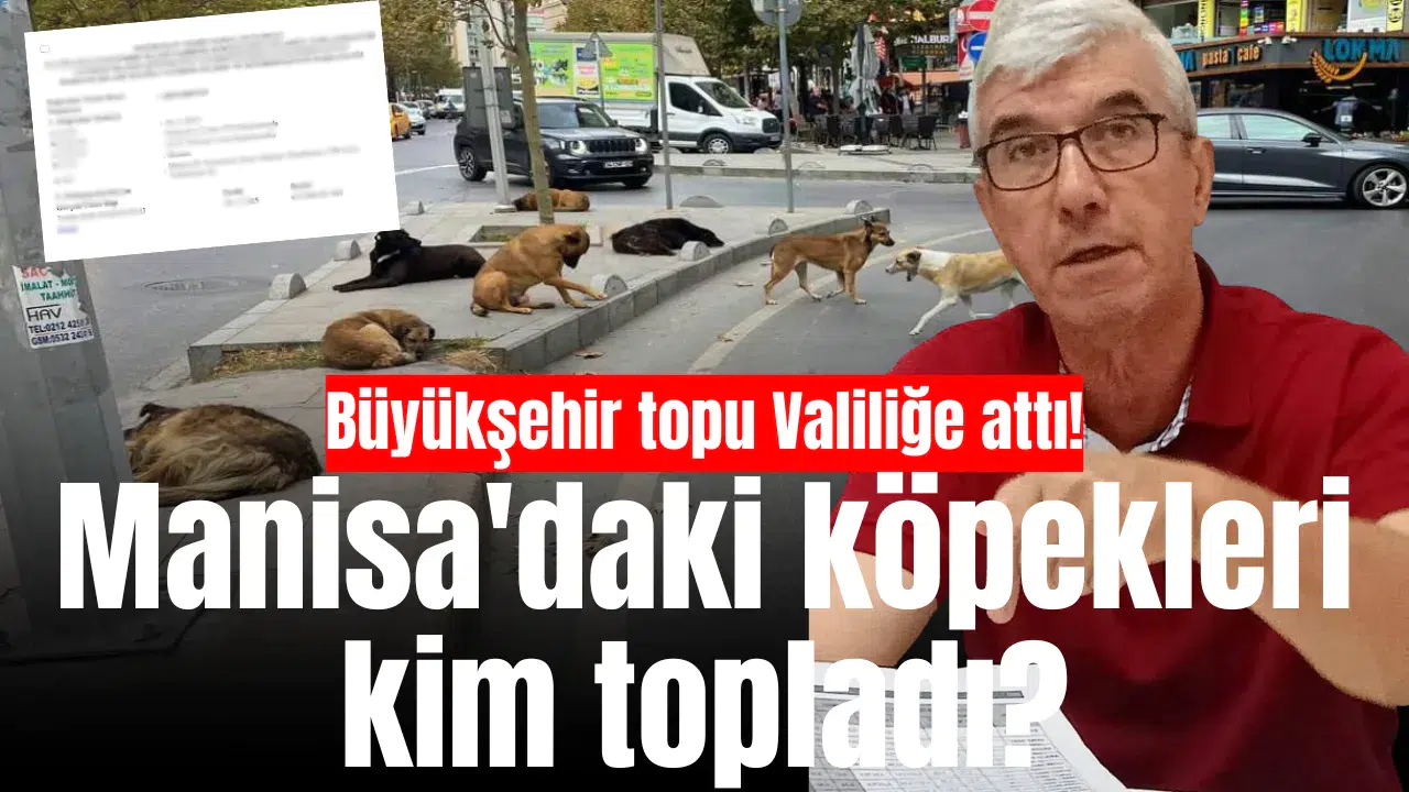 Büyükşehir topu Valiliğe attı! Manisa'daki köpekleri kim topladı?