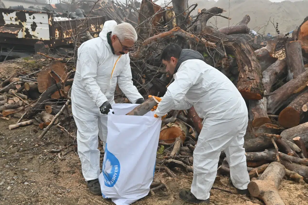 Budanan ağaç dalları ihtiyaç sahiplerini ısıtıyor