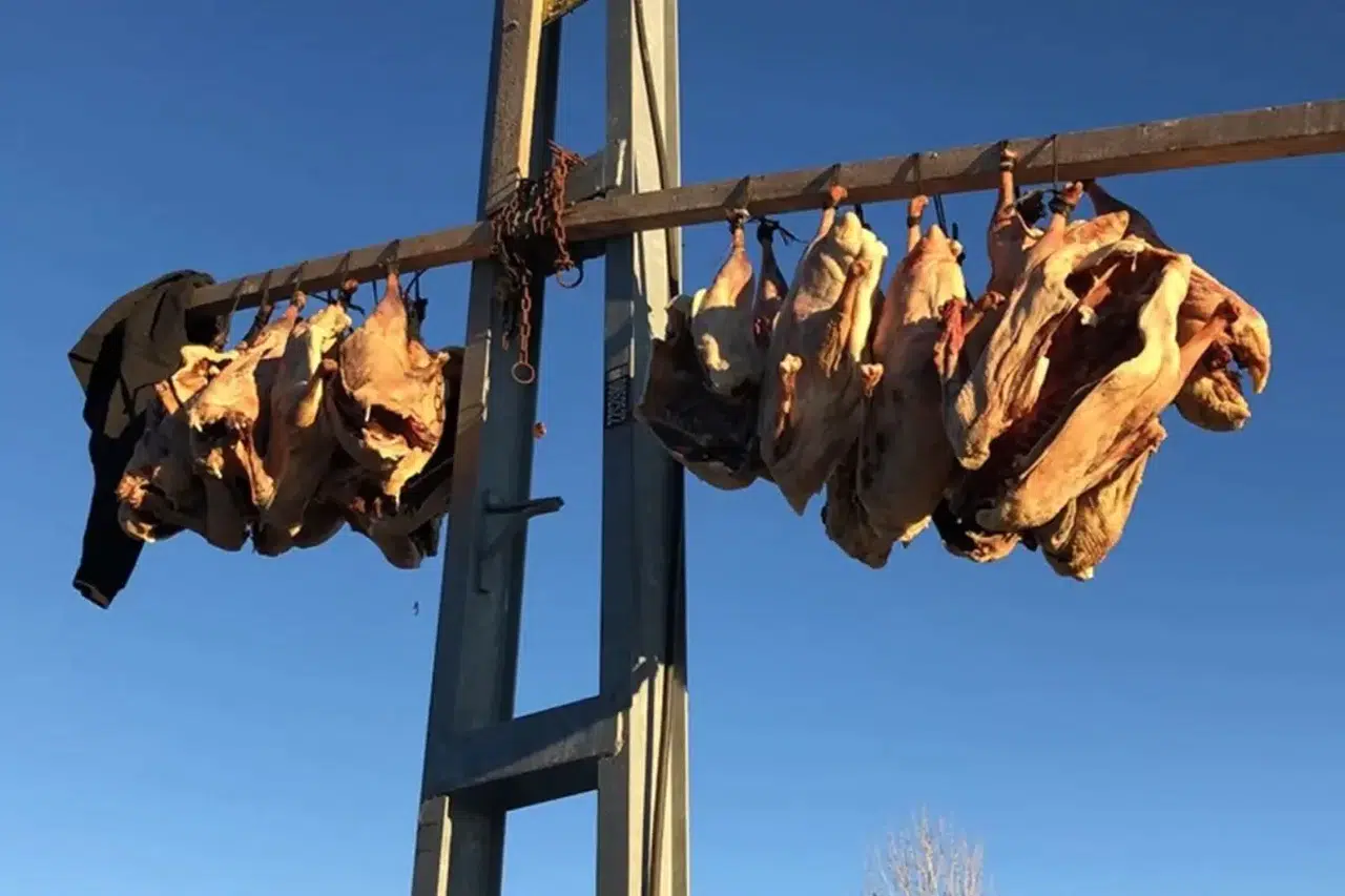 Sevenlerin dört gözle beklediği o ürün için hazırlıklar başladı