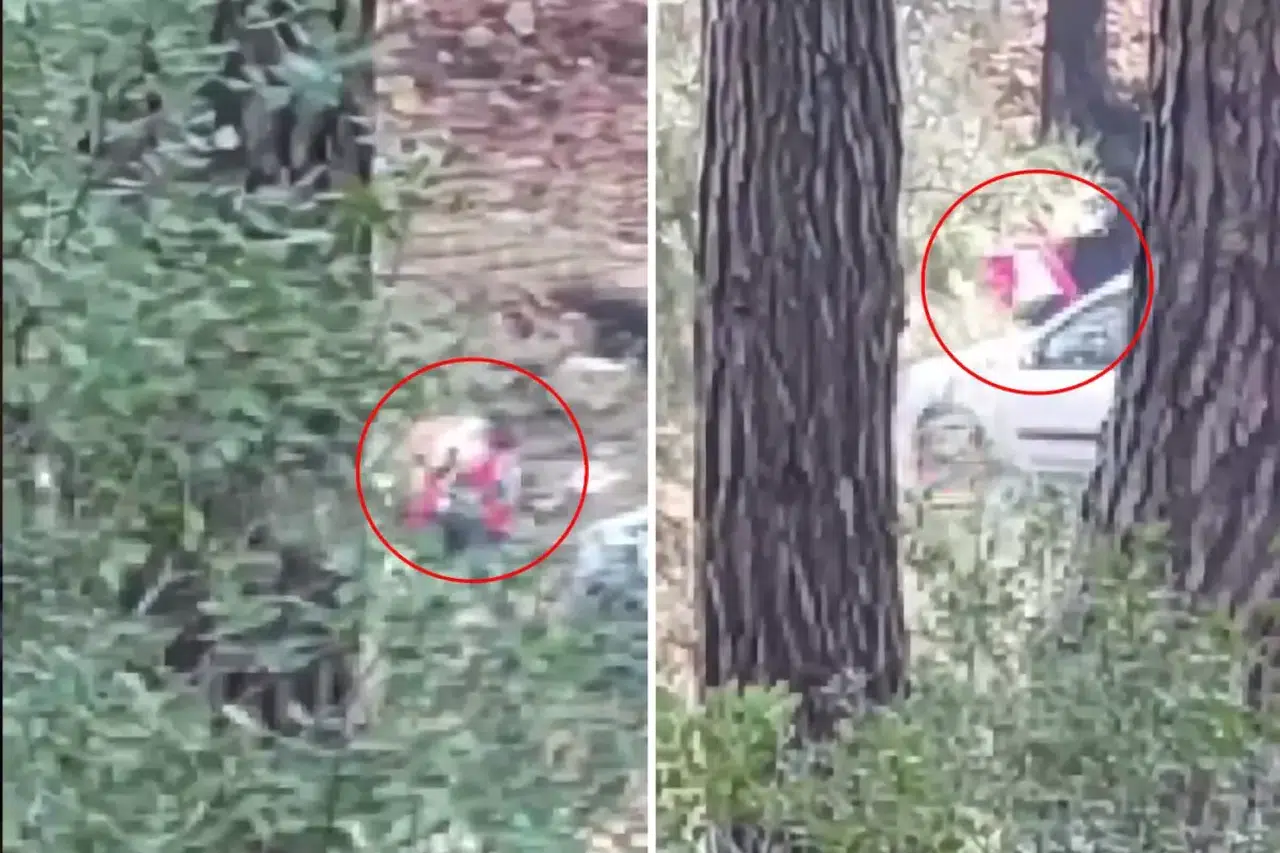 Sesleri duyup önce kayda aldı, sonra polisi aradı