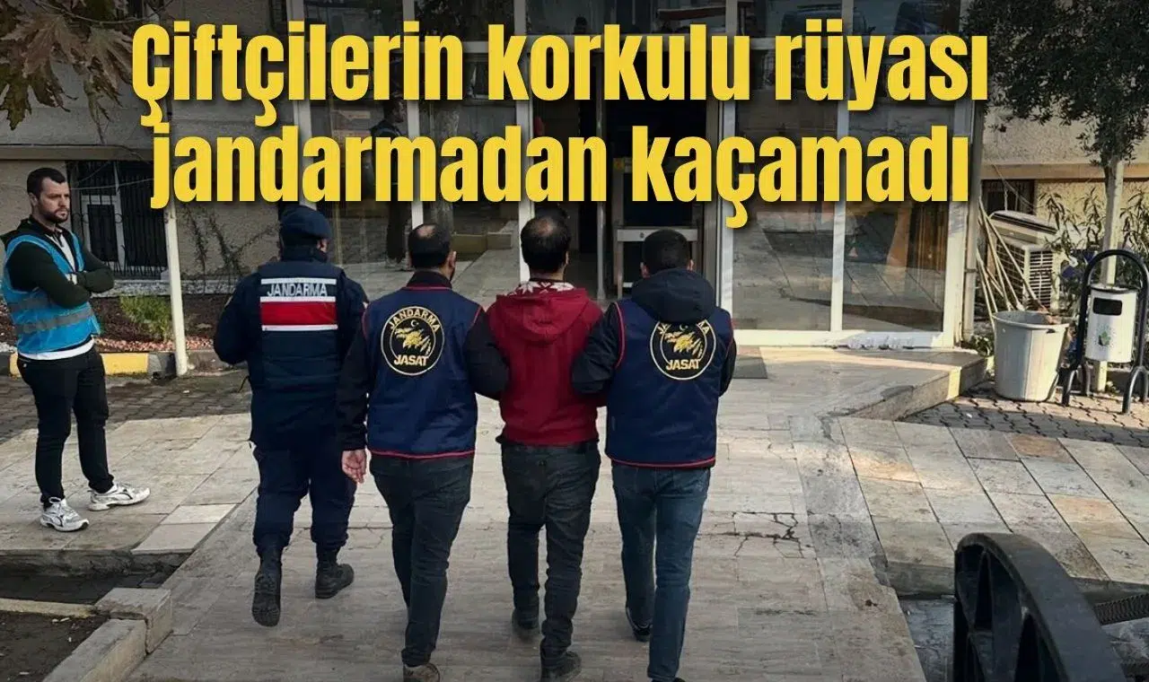 Çiftçilerin korkulu rüyası  jandarmadan kaçamadı