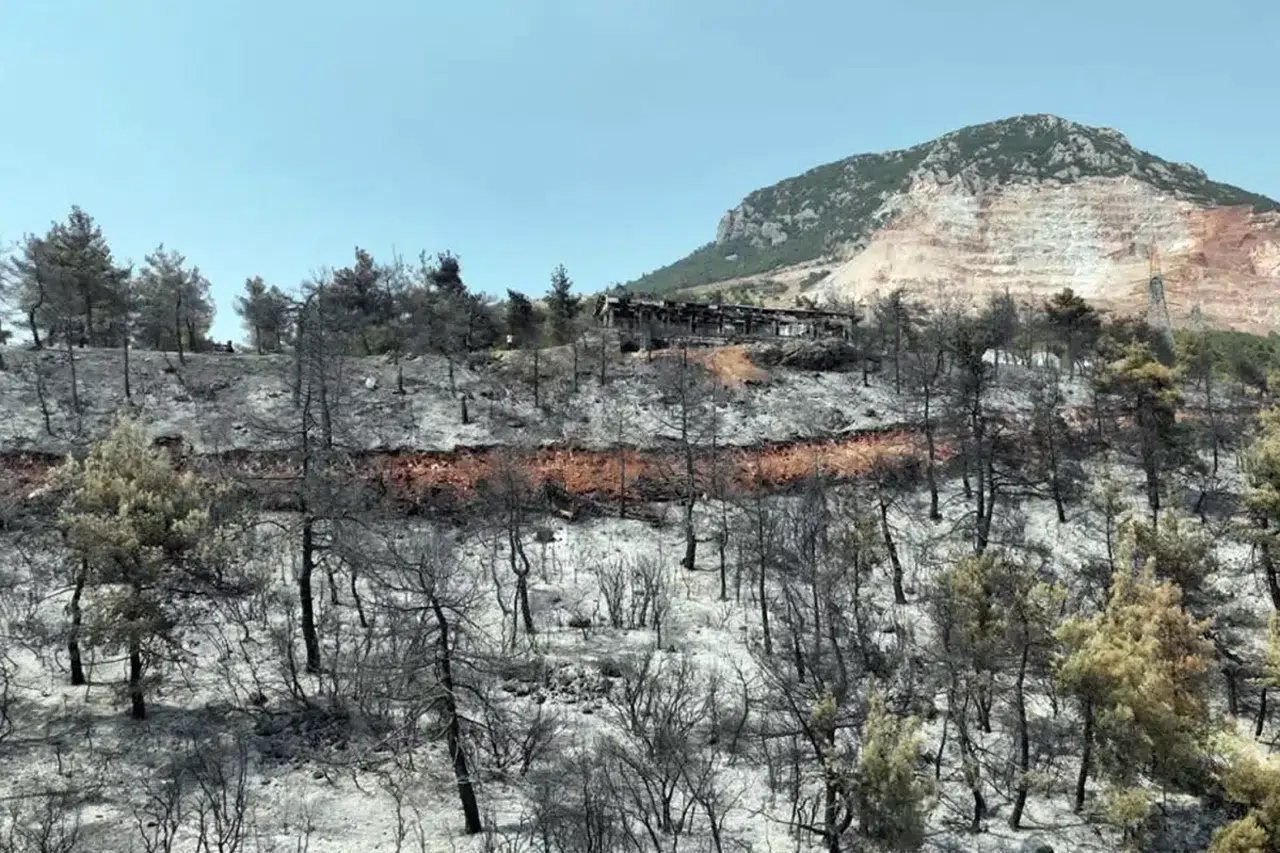 Yeşili ile ünlü olan ilçenin son hali bölge halini yasa boğdu