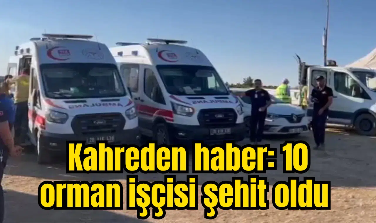 10 orman işçisi şehit oldu