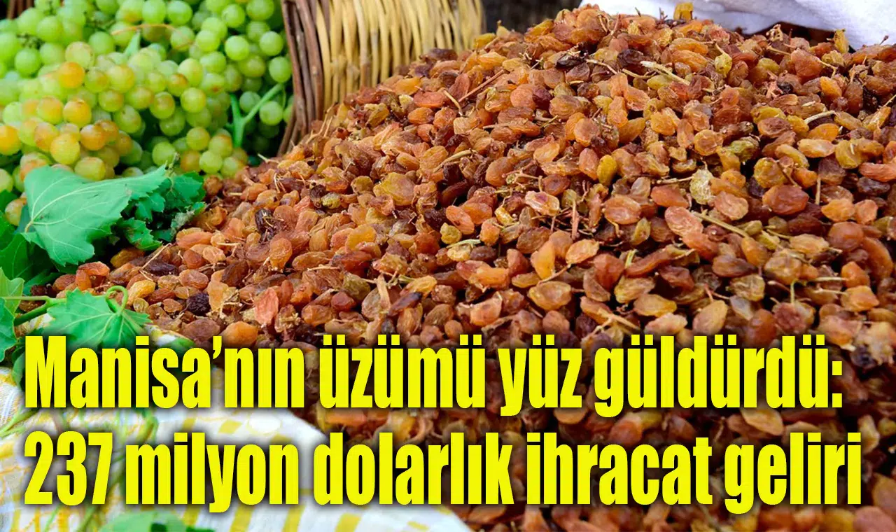 Manisa’nın üzümü yüz güldürdü: 237 milyon dolarlık ihracat geliri