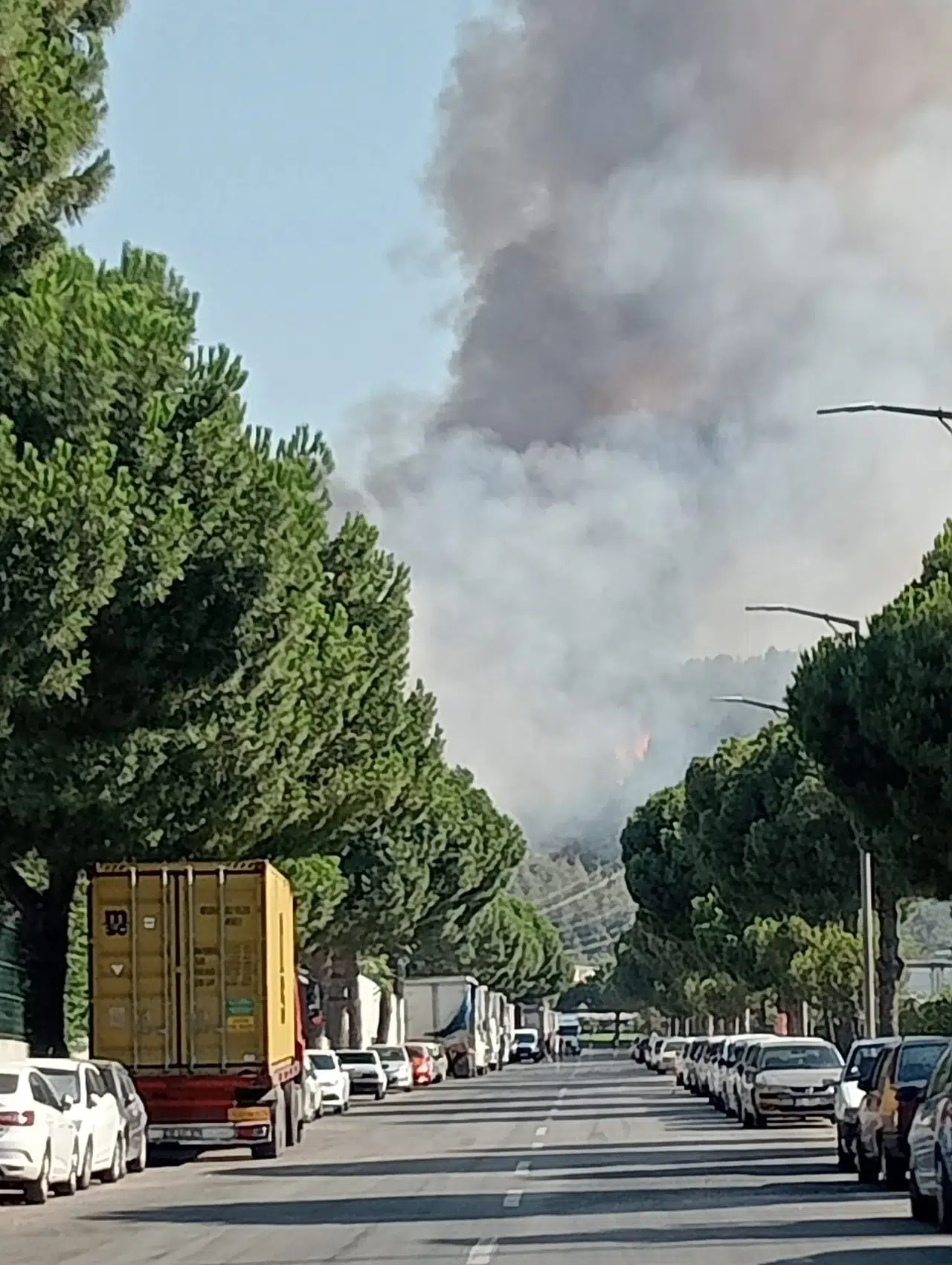 Manisa OSB'deki orman yangını büyüyor