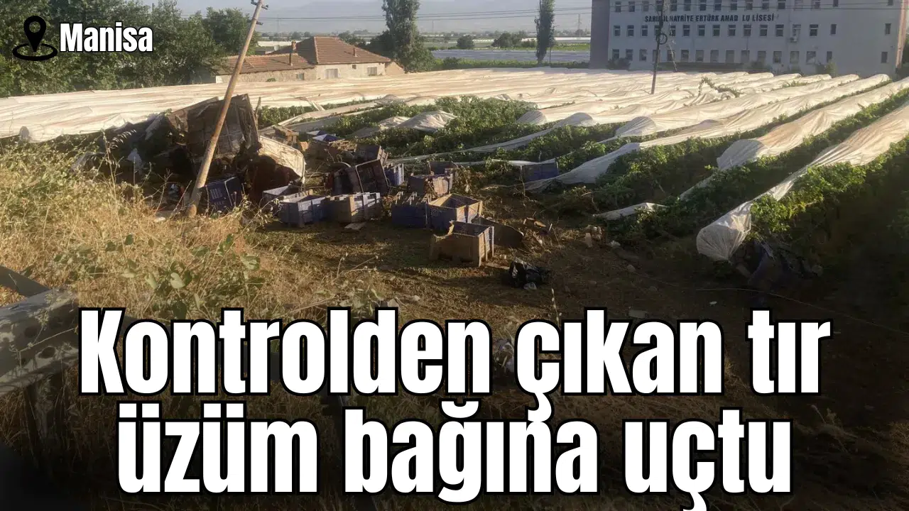 Kontrolden çıkan tır üzüm bağına uçtu
