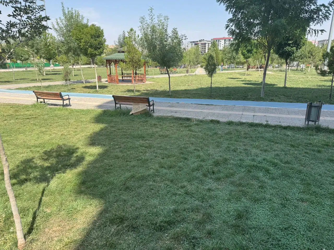 Sıcaktan fenalaşan kadın bayıldı