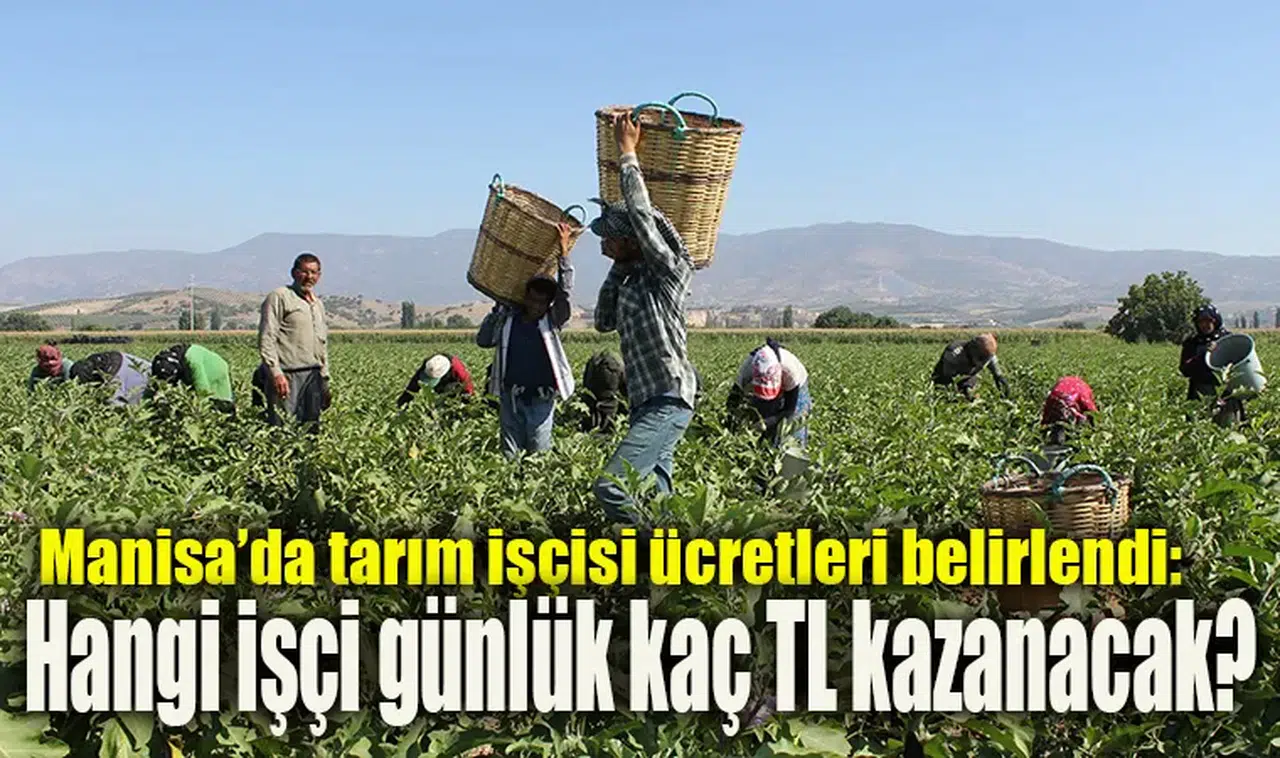 Manisa’da tarım işçisi ücretleri belirlendi: Hangi işçi günlük kaç TL kazanacak?