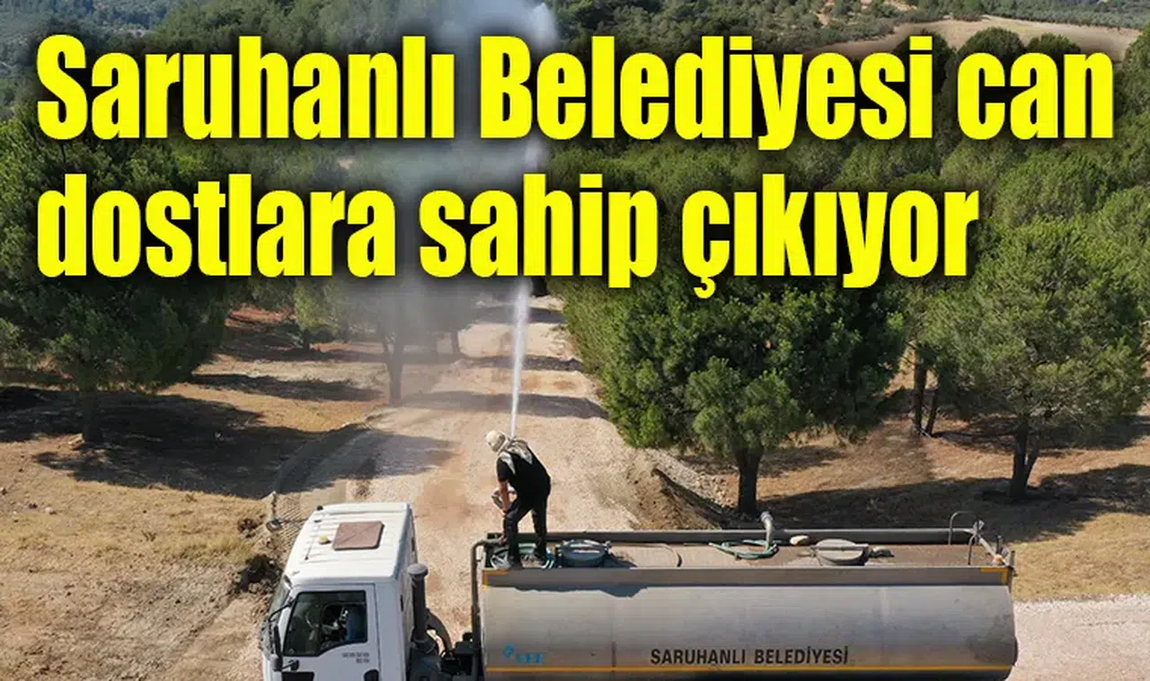 Saruhanlı Belediyesi can dostlara sahip çıkıyor
