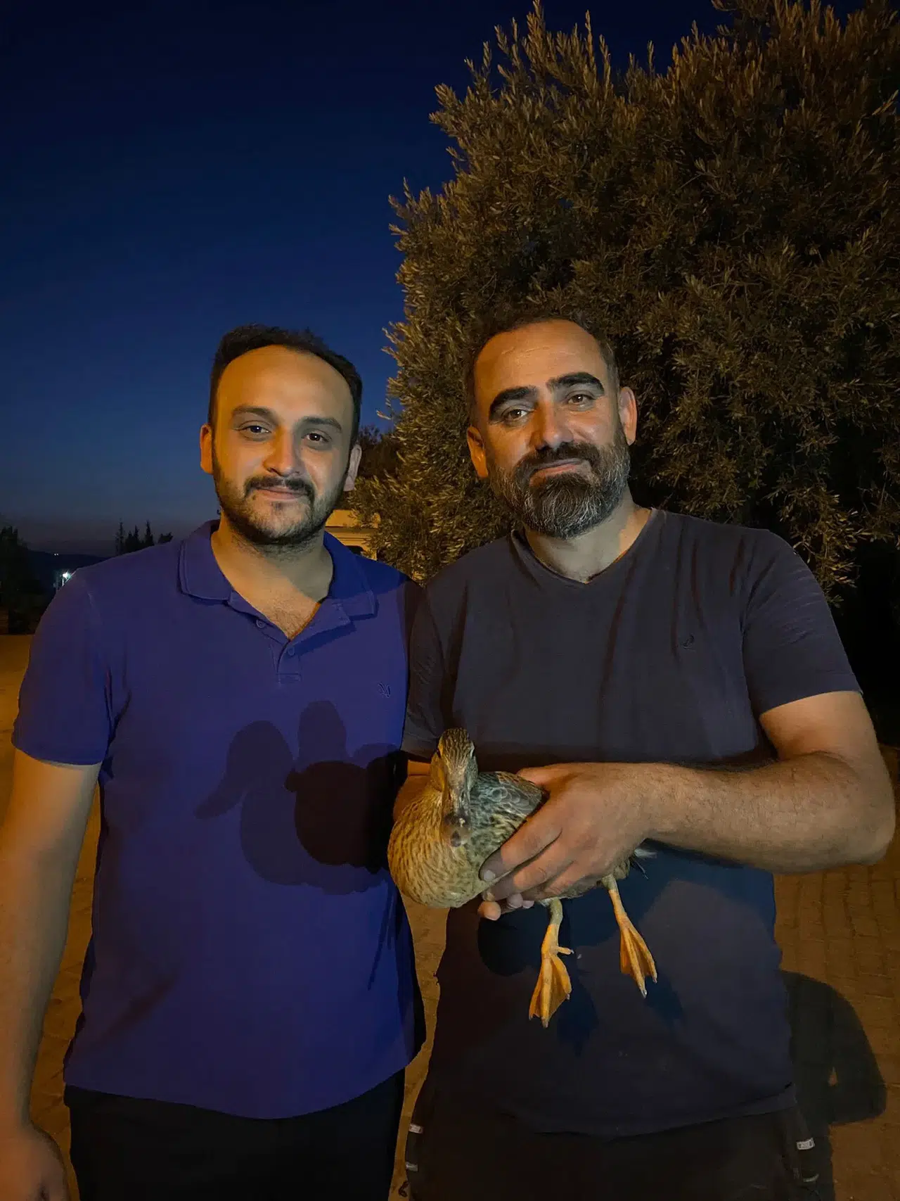 Manisa'da bulduğu yaralı ördeği tedavi ettirdi