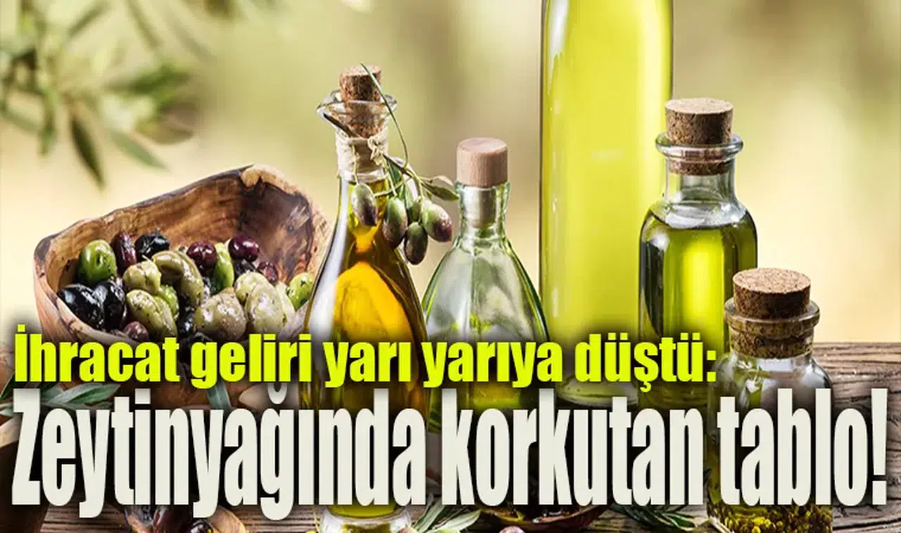 İhracat geliri yarı yarıya düştü: Zeytinyağında korkutan tablo!