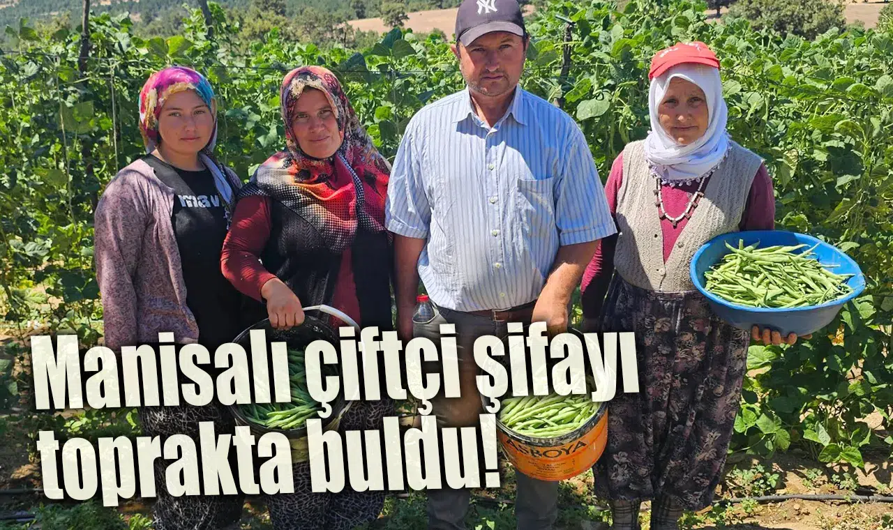 Manisalı çiftçi şifayı toprakta buldu!
