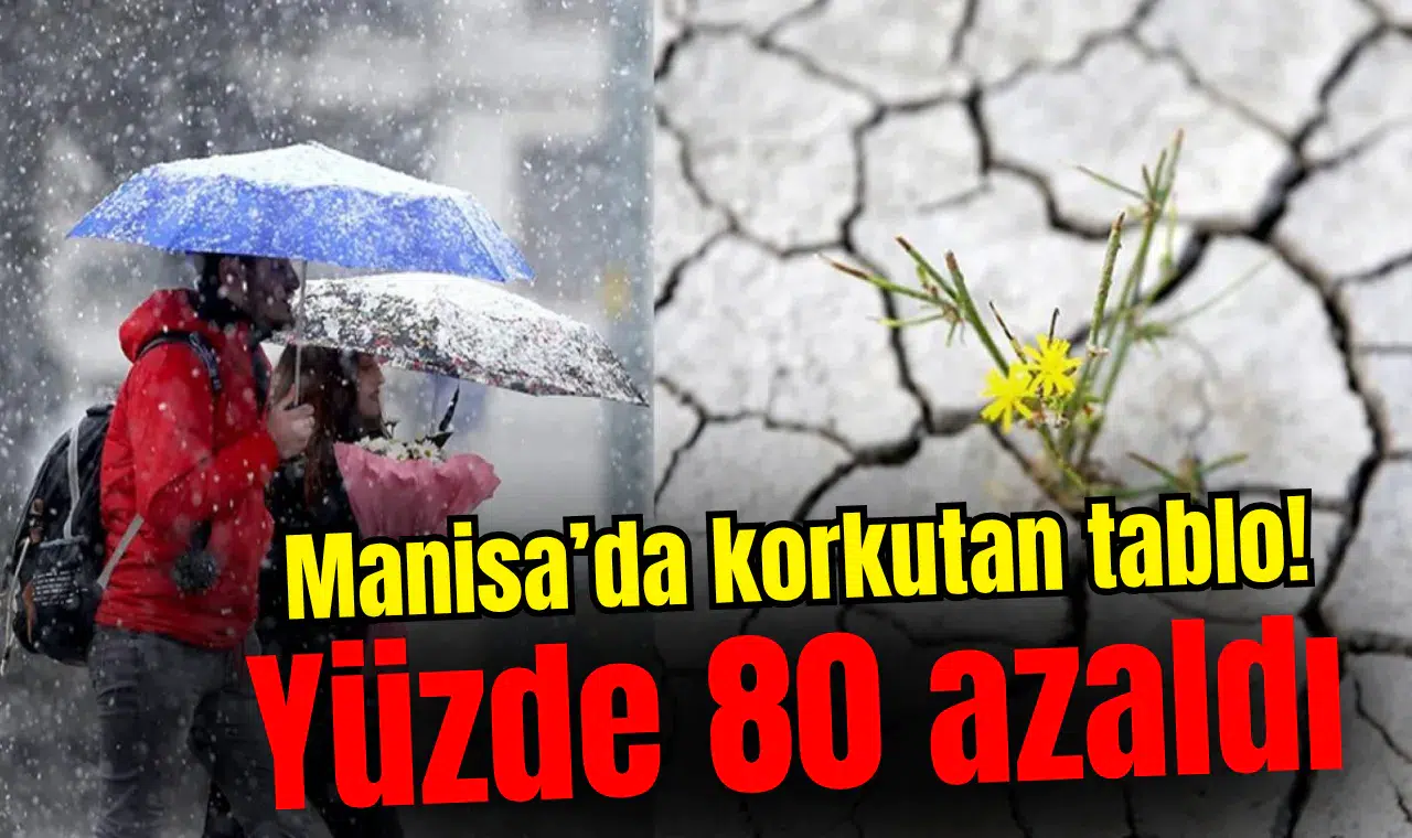 Manisa'da korkutan tablo! Yüzde 80 azaldı!
