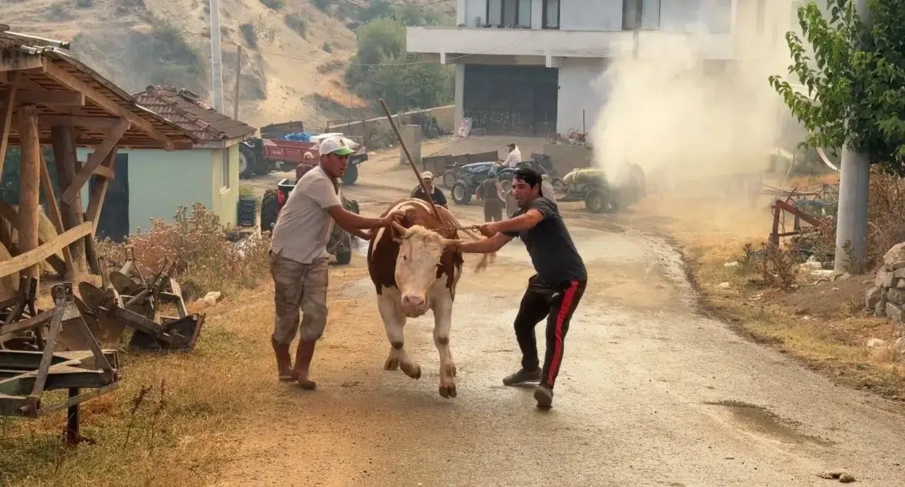 Orman yangınıyla mücadele devam ediyor