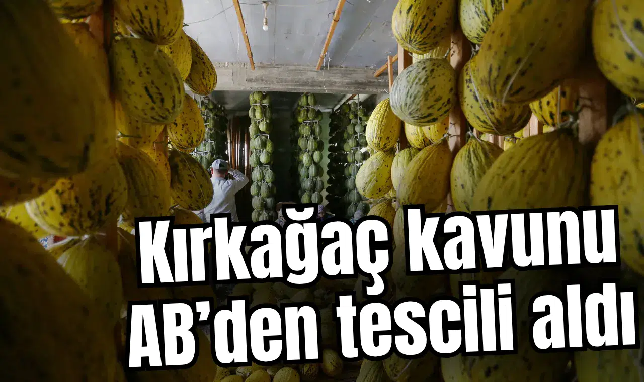 Kırkağaç kavunu AB'den tescil aldı