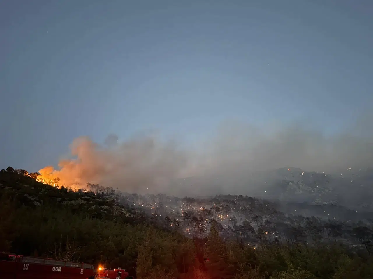Korkutan orman yangını kontrol altına alındı