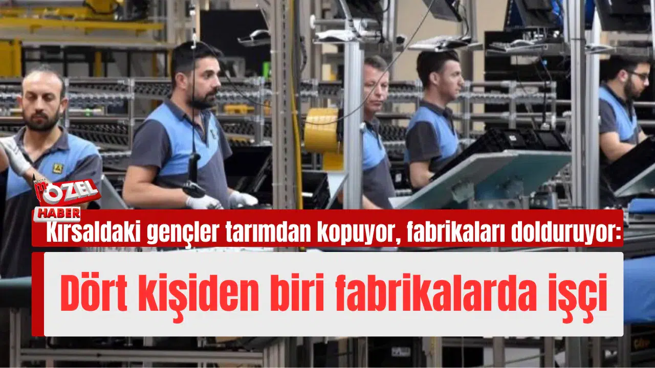 Kırsaldaki gençler tarımdan kopuyor, fabrikaları dolduruyor: Dört kişiden biri fabrikalarda işçi