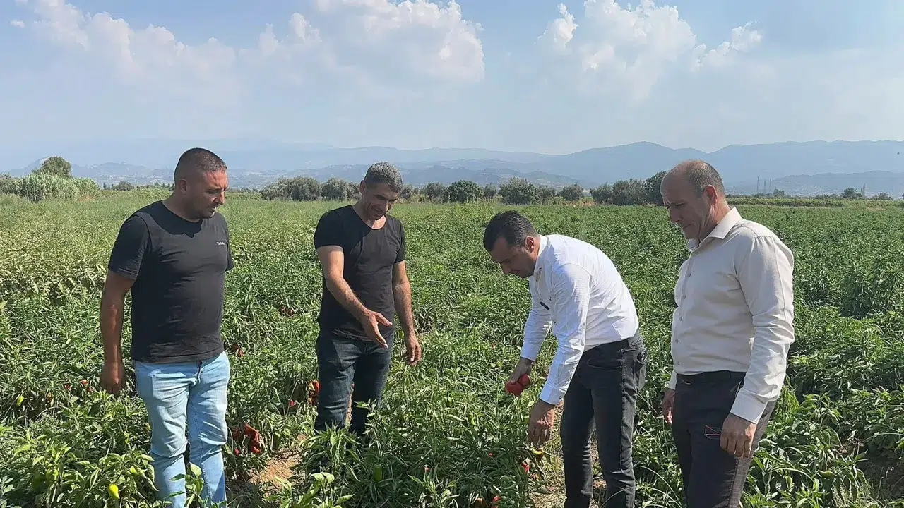 Başevirgen, üreticileri ziyaret etti: Bu düzen çiftçiyi bitirir