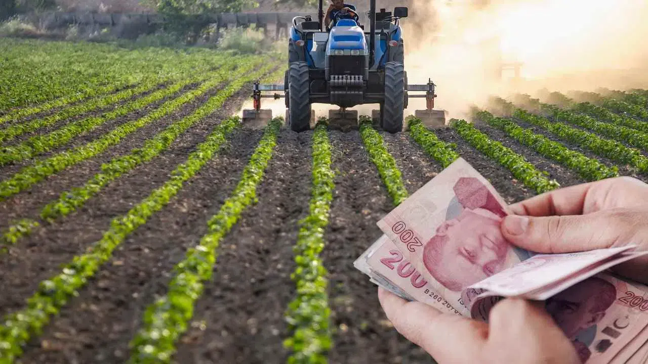 Bir kez ek, aylarca topla! Yıl boyunca 30 kez ürün veriyor