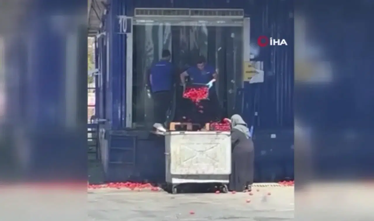 Kasa kasa domatesi neden çöpe döktüler?