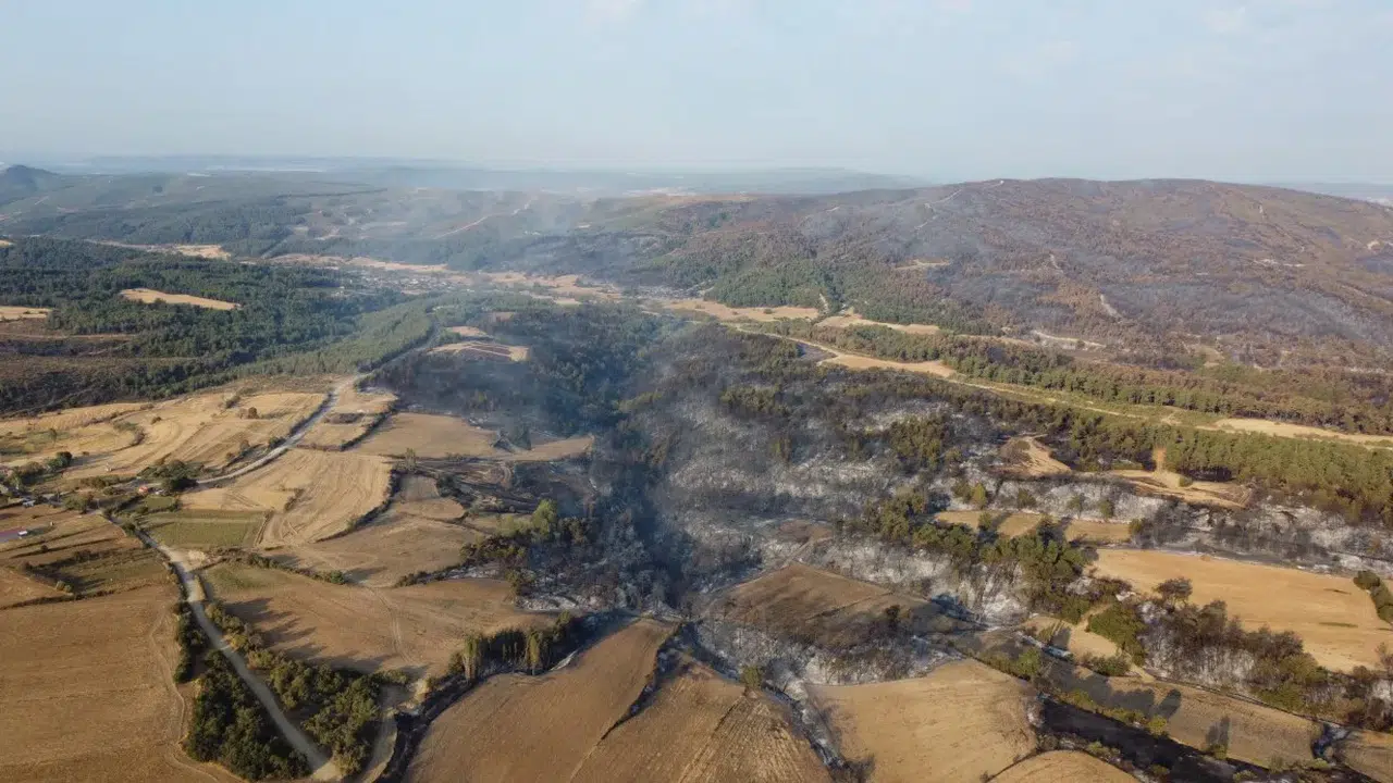 Çanakkale'nin son hali görenlerin ciğerini dağladı!