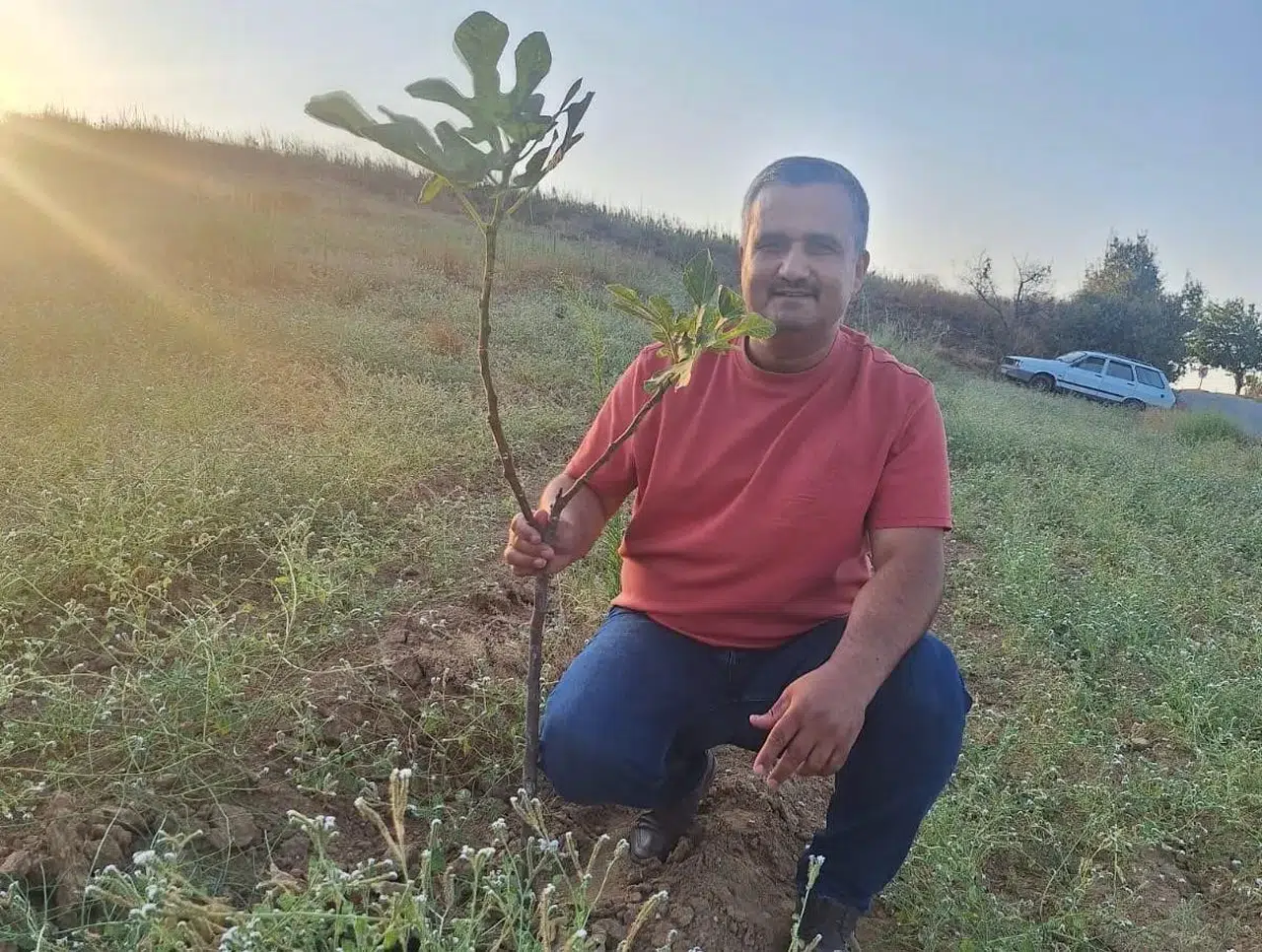 Kırsal bölgelerin ihracat meyvesi: Sarılop incir