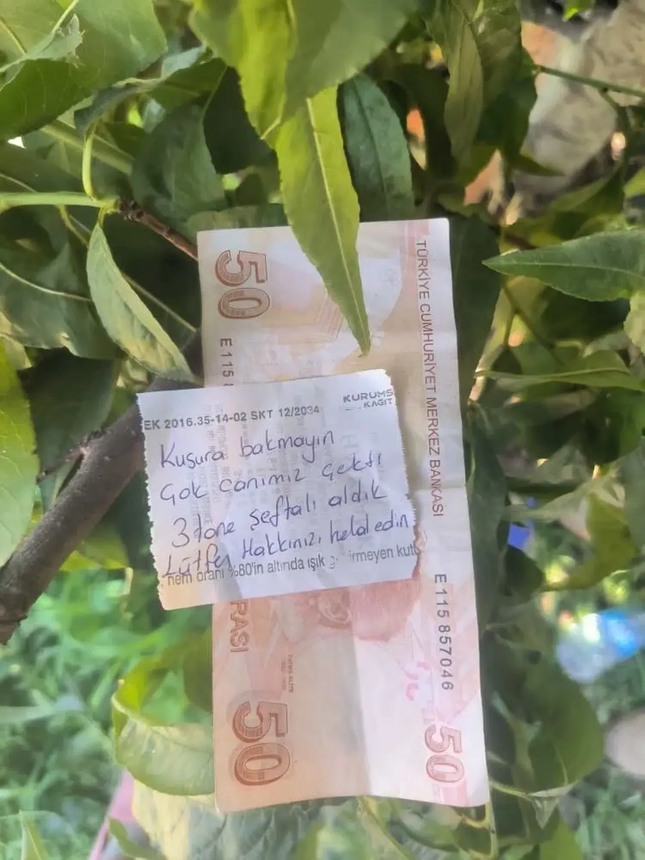 Tarlasını sulamaya giden çiftçi bakın ne buldu
