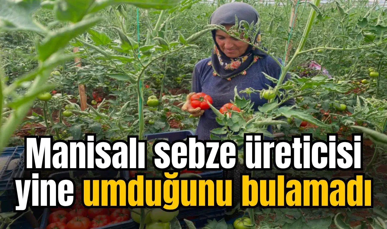 Manisalı sebze üreticisi yine umduğunu bulamadı