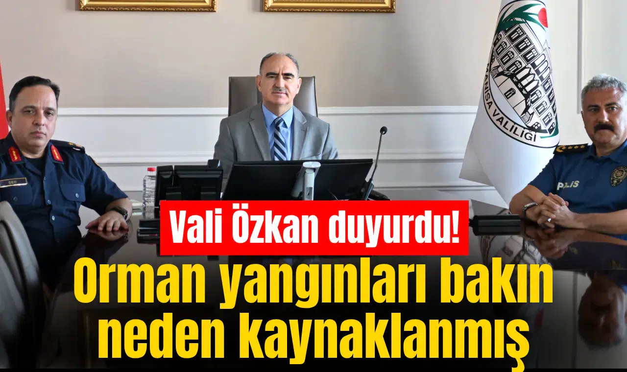 Vali Özkan: Orman yangınlarının çoğu insan kaynaklı