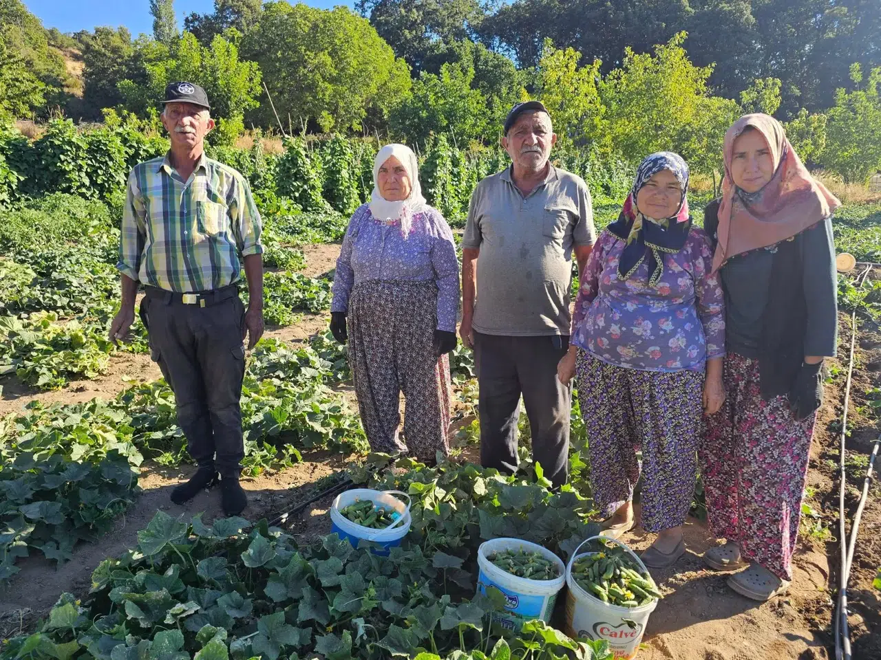 Yaşlı köylüler üretiyor, dünyaya ihraç ediliyor