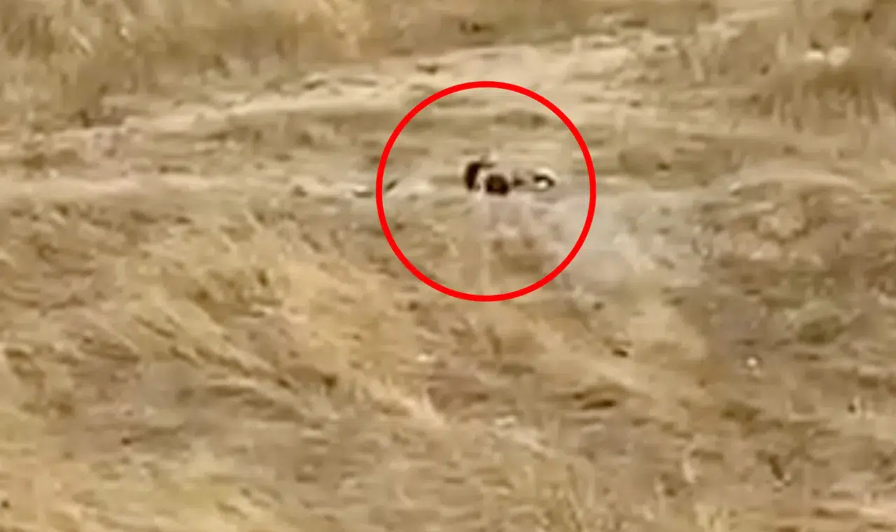 Uygunsuz hareketler sergileyen iki genç gözaltına alındı