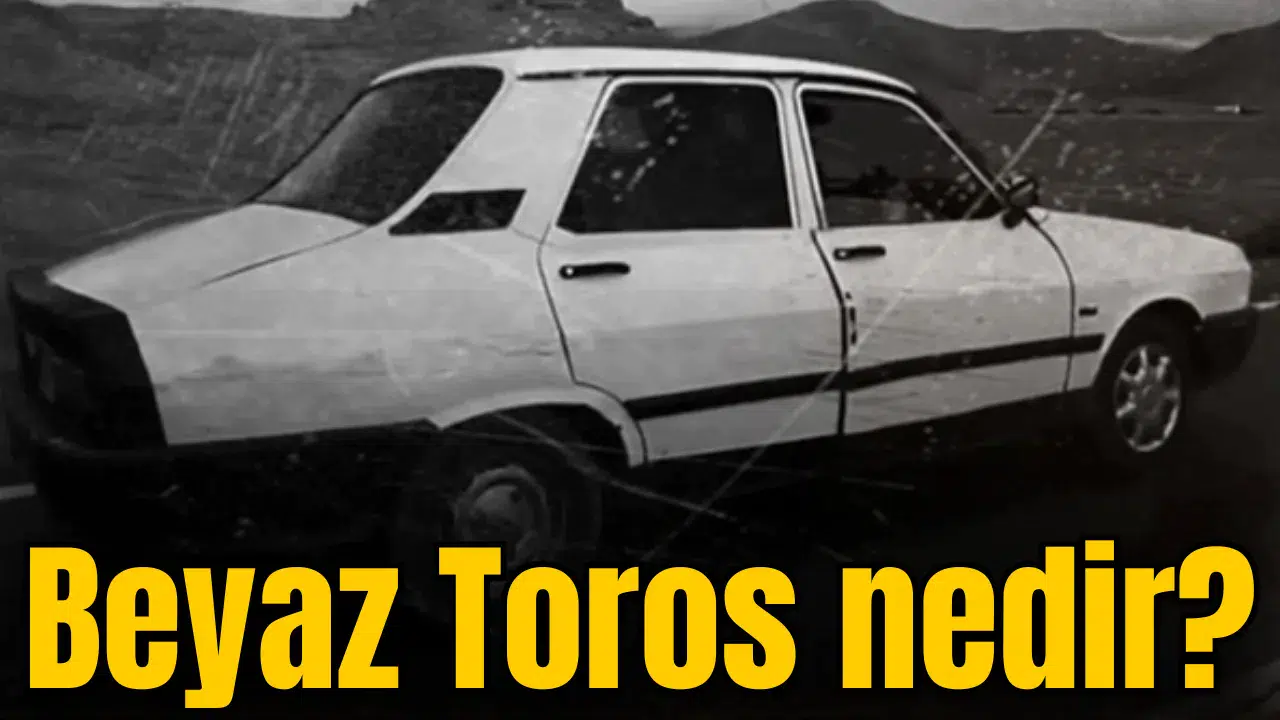Beyaz Toros nedir?