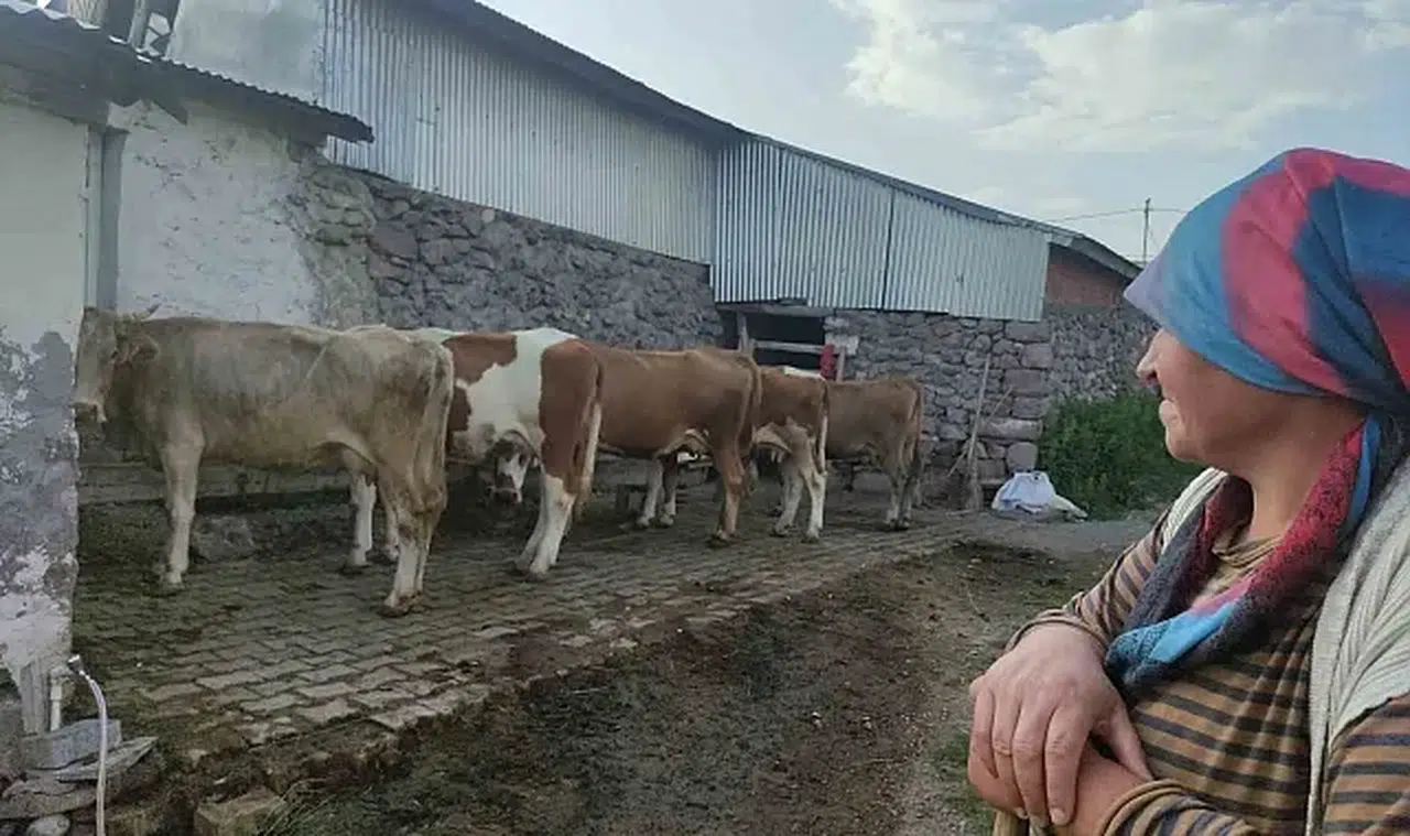 Özkaya'dan şap hastalığı için kritik uyarı