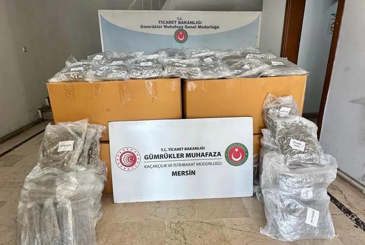Limanda uyuşturucu operasyonu