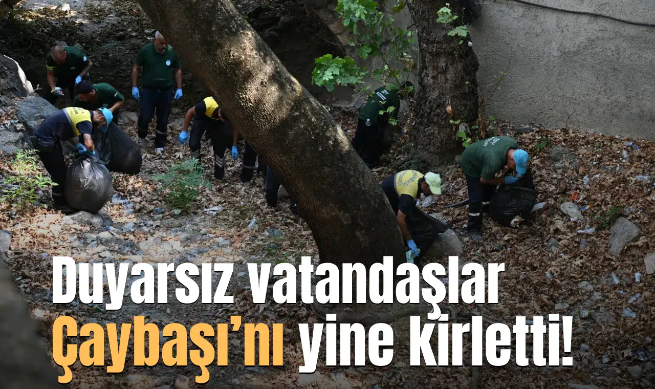 Duyarsız vatandaşlar Çaybaşı’nı yine kirletti