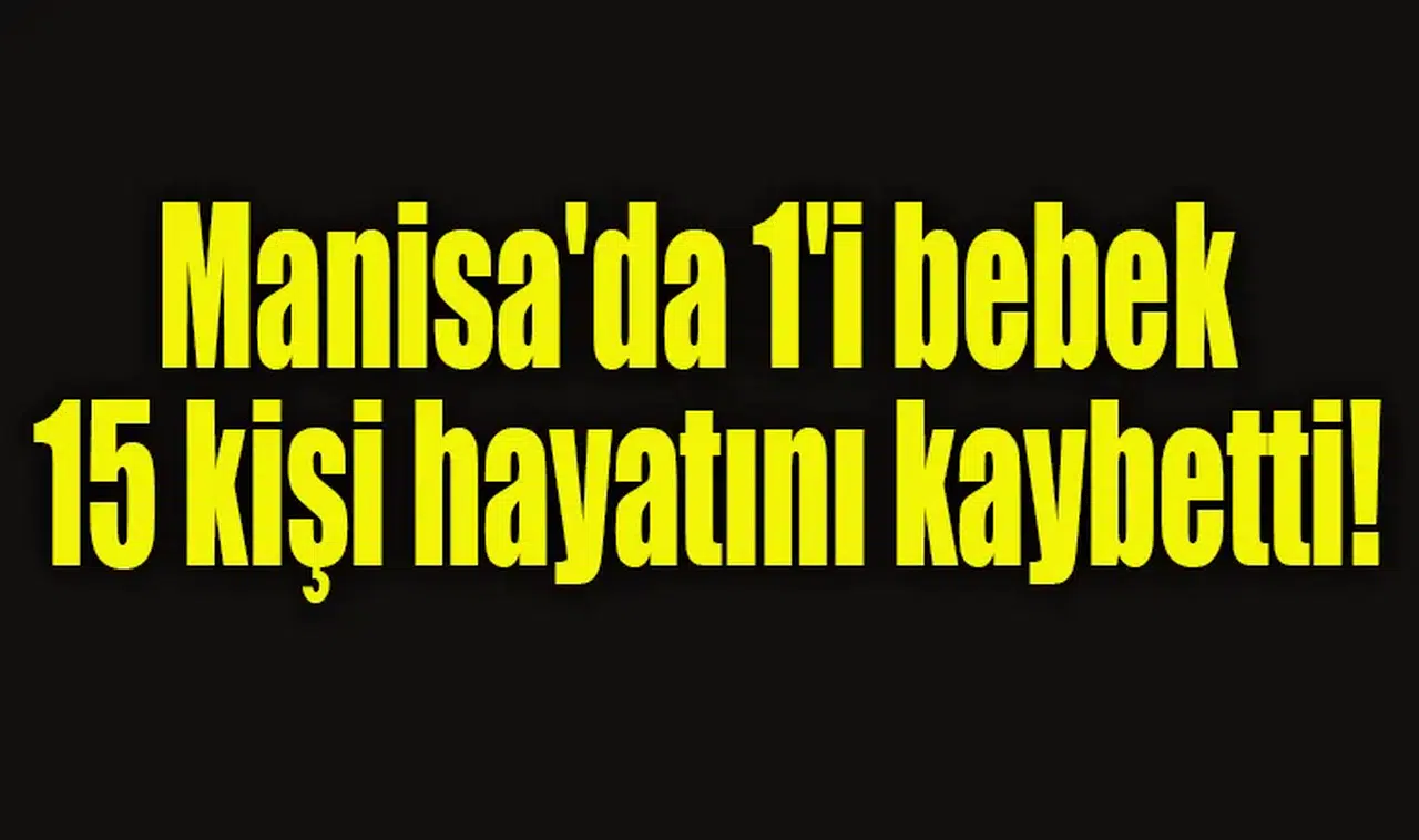 Manisa'da 1'i bebek 15 kişi hayatını kaybetti