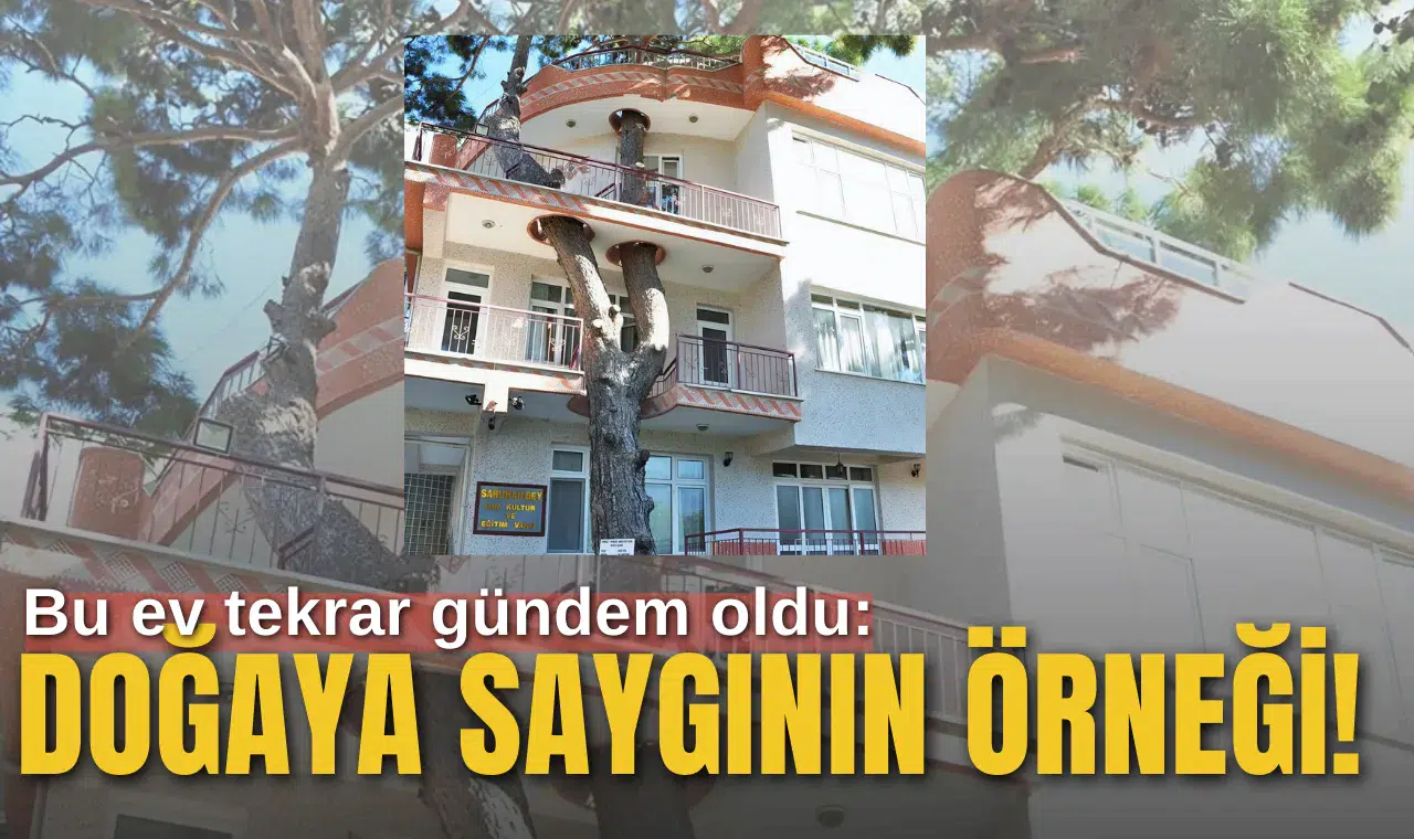Doğaya saygının örneği