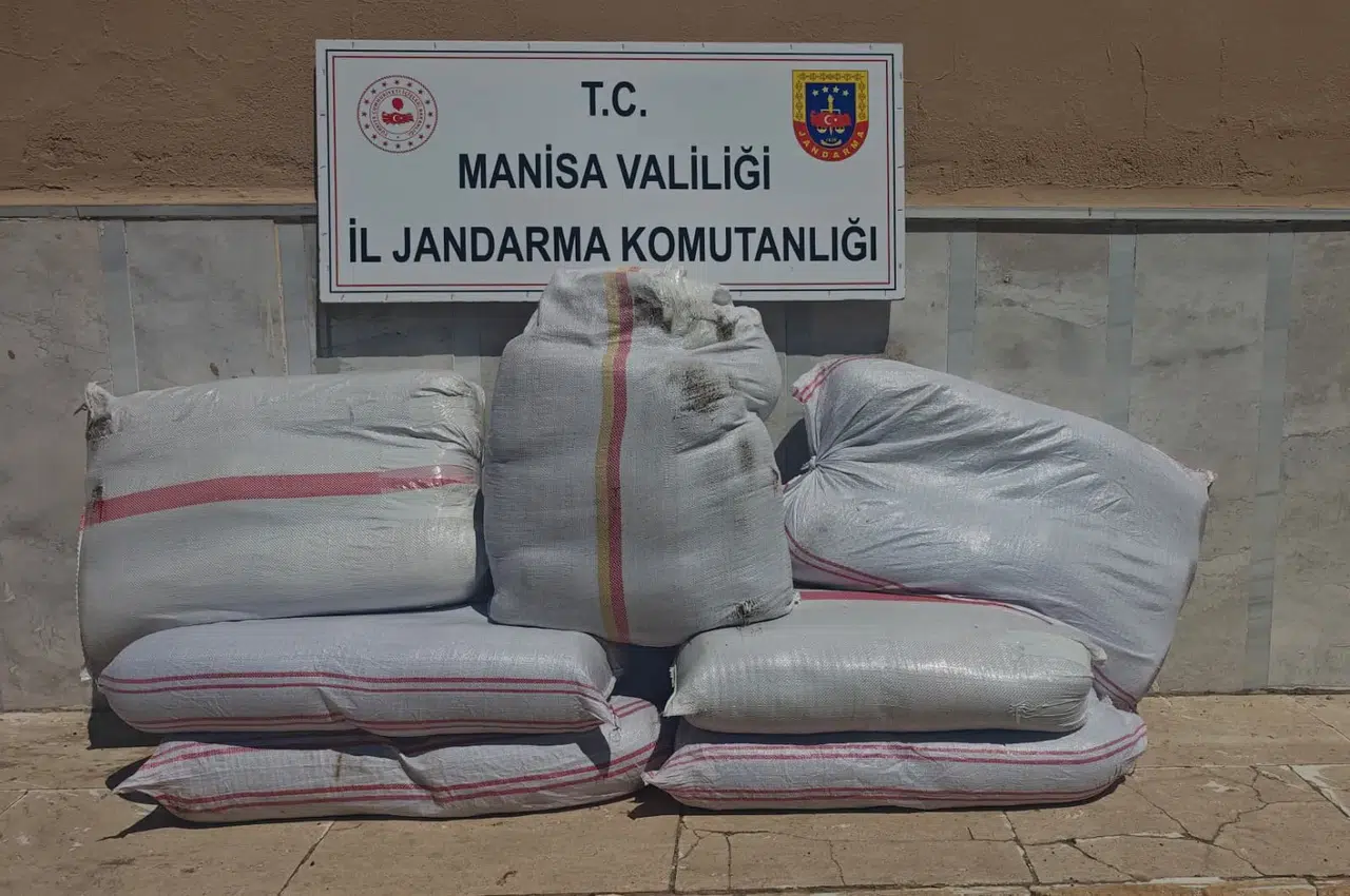 Manisa'da jandarma kilolarca kaçak tütün ele geçirdi